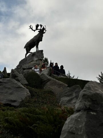 285e114c-5c86-4897-910a-f73a446a9ac6