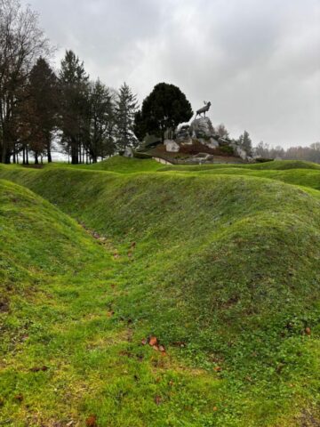 e08581e2-48a5-4b6c-8d6b-5beafed4e7a6